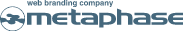 株式会社メタフェイズ